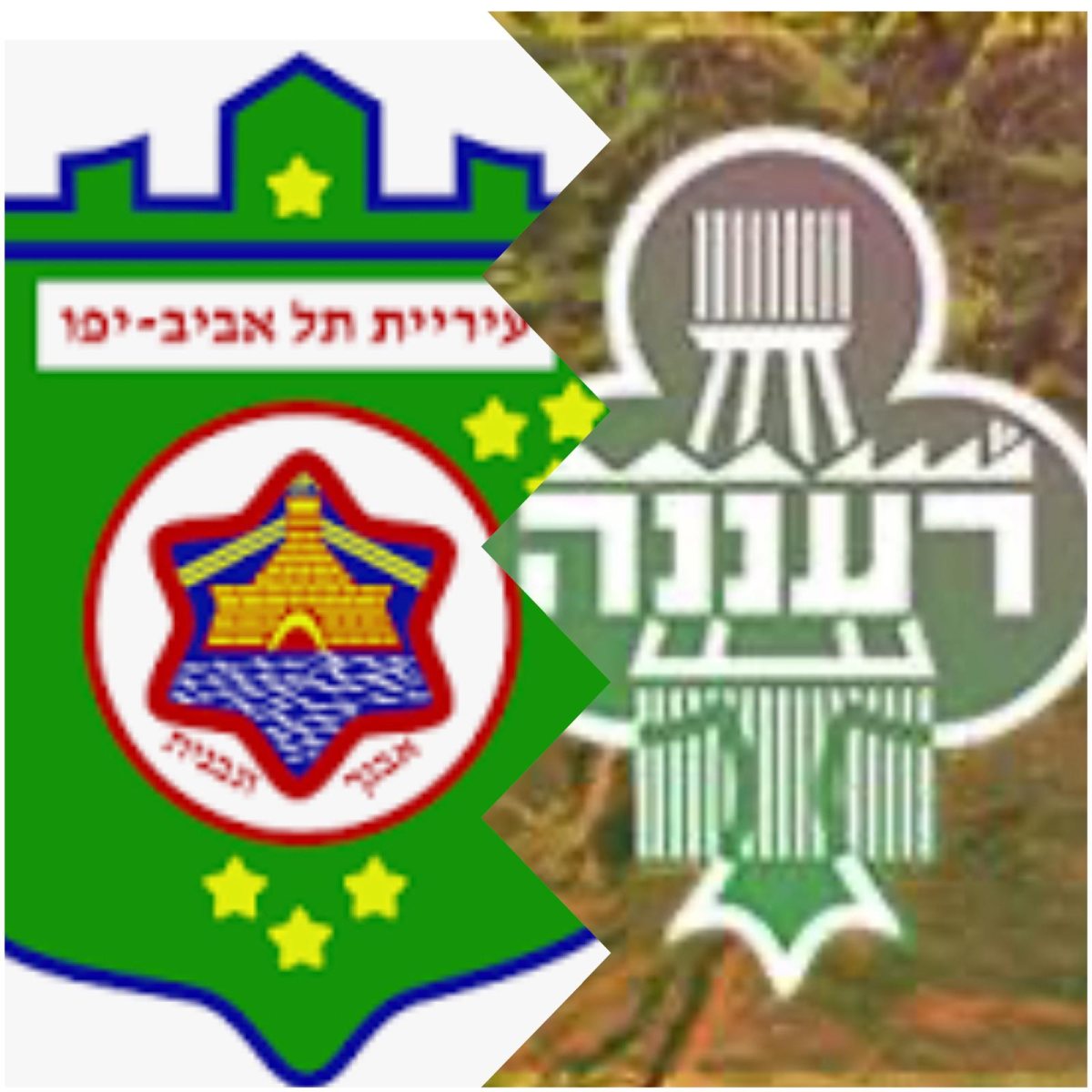 המערכת