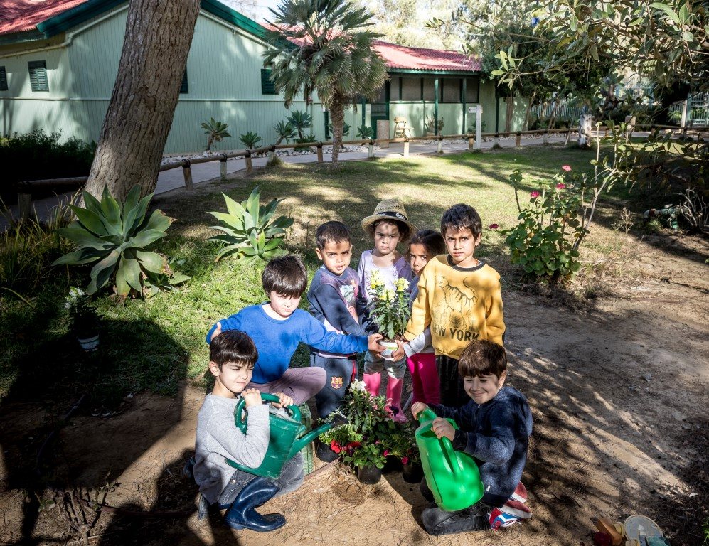 טו בשבט בצריף בן גוריון_קרדיט צילום צביקה שמעיה (Medium)