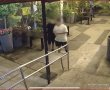 ונדליזם בלב רעננה: עשרות תבניות ביצים הושלכו – נזק רב נגרם