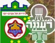 המערכת