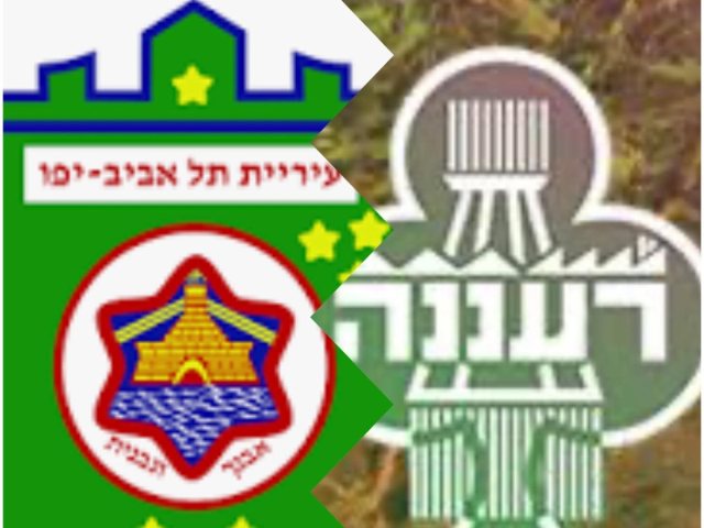 המערכת