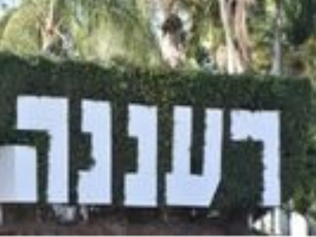קנבה