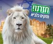 פארק החיות מדבריום בבאר שבע חוזר לפעילות מלאה; כל הפרטים