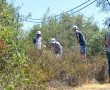 נס הרים: בעבודת כפיים פרצו בני הנוער שביל צפרות חדש בתוך החורש 